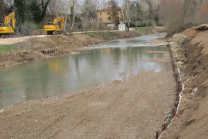 GrIG, gruppo d'Intervento Giuridico onlus, fiume Elsa, Poggibonsi Siena, Toscana Ambiente, taglio alberi e vegetazione riparia.