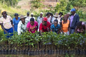 Haiti-piattaforma-Treedom