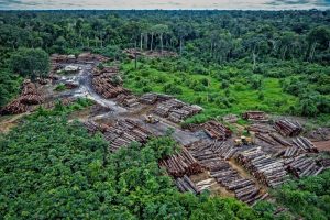 deforestazione-Brasile-Amazzonia