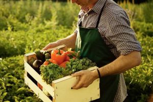 agricoltura-toscana-biologica