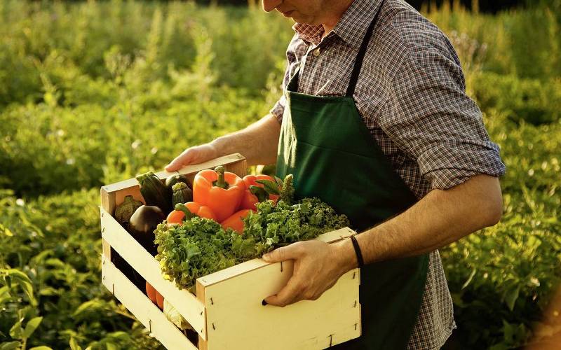 agricoltura-toscana-biologica