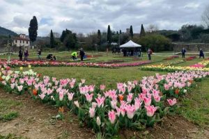 parco tulipani- Firenze