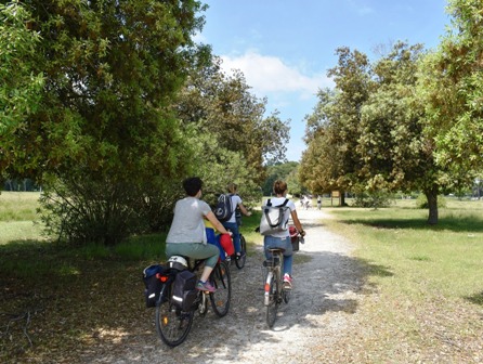 San Rossore in bici