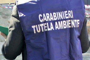 Carabinieri-tutela-ambiente