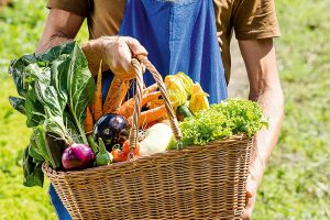 Agricoltura sostenibile e biologica toscana, ecco i bandi da 20 milioni di euro e gli aiuti