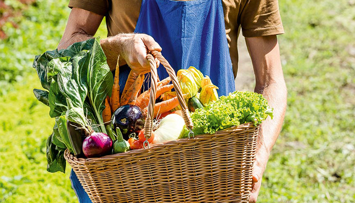 Agricoltura sostenibile e biologica toscana, ecco i bandi da 20 milioni di euro e gli aiuti