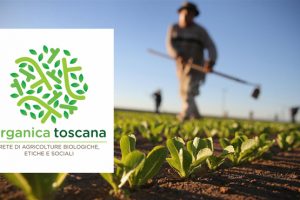 Welfare vede e agricoltura sociale e biologica in Toscana per Coldiretti, ambiente.