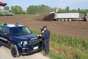 carabinieri_fanghi_agricoltura