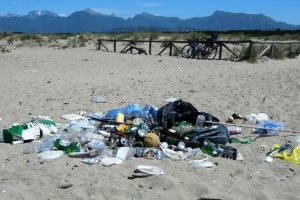 rifiuti-spiaggia-Lecciona