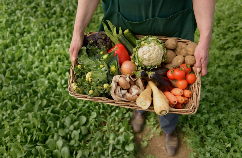 prodotti-biologici-agricoltura