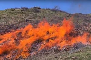 Incendi boschivi, dall'Ateneo di Firenze un'app che previene i rischi (video) - La tecnologia è utile per mappare i combustibili delle foreste.