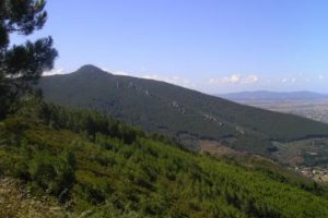 Con la piantumazione di oltre 1350 alberi parte adesso la riforestazione del Monte Pisano