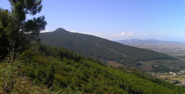 Con la piantumazione di oltre 1350 alberi parte adesso la riforestazione del Monte Pisano