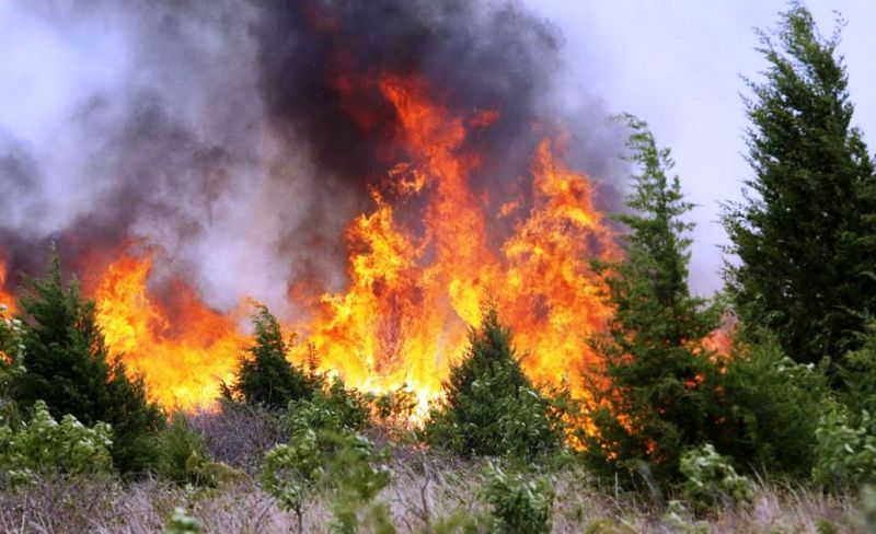 incendio-incendi-boschivi