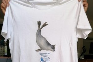 Una maglietta la celebra il ritorno della foca monaca nei mari di Toscana.