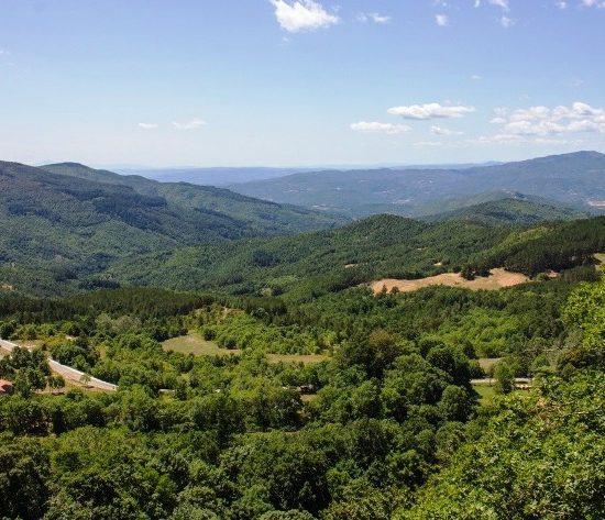 Parco Casentino panorama