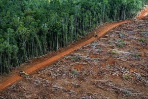 Deforestazione-Amazzonia