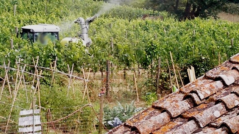 fitofarmaci-Chianti- vigneto