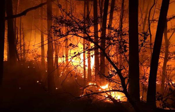 Fuoco e fiamme in Toscana, circa 400 ettari di bosco andati in fumo ad agosto 2021.