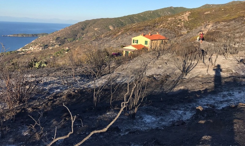 incendio Elba Toscana-ambiente