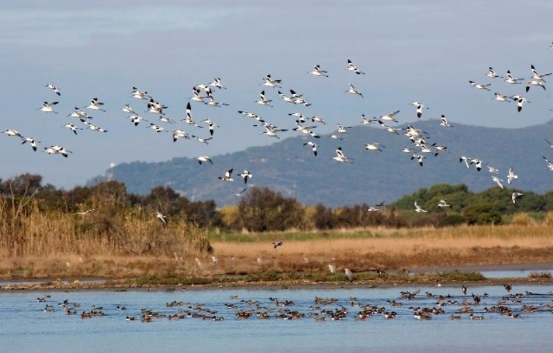 Biodiversità regionale_Toscana-ambiente