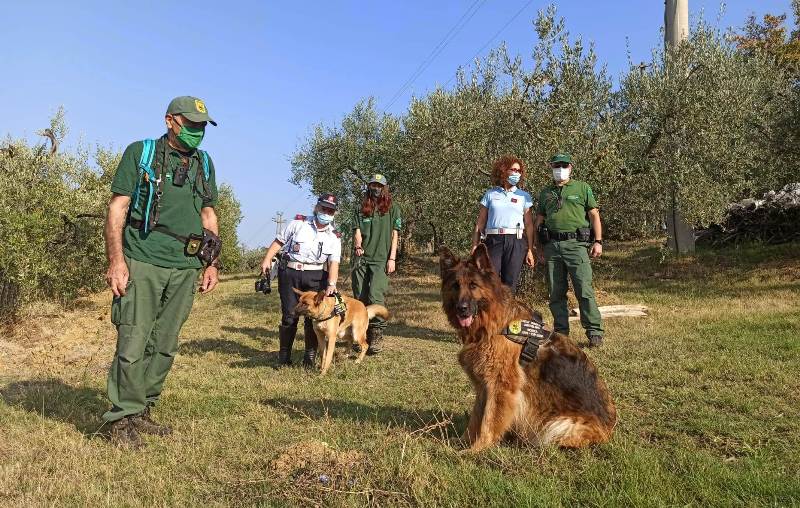 WWF unità cinofila_toscana ambiente