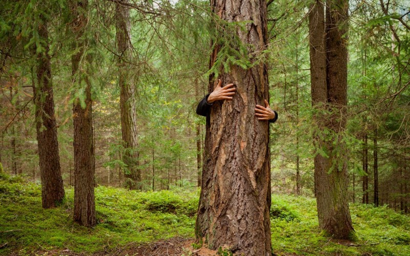 Natura Inghilterra cura Toscana-ambiente