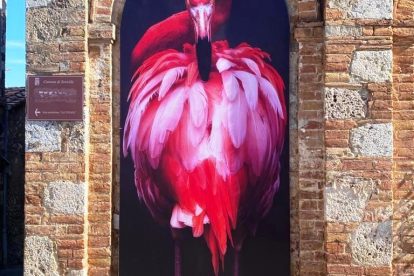 mostra Animalia_9