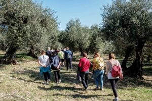 oleoturismo camminata Toscana-Ambiente