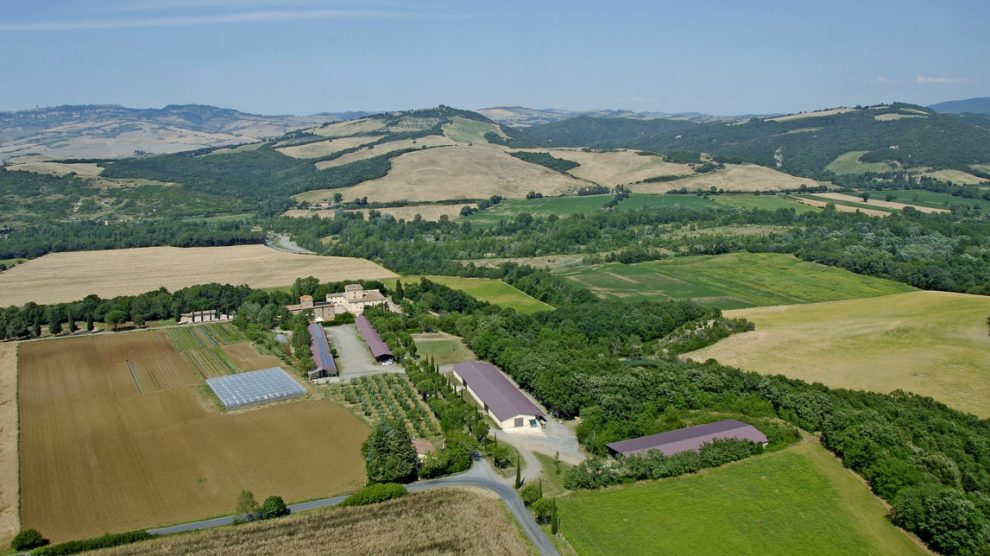 Foto da pagina Facebook azienda agricola Il Cerreto