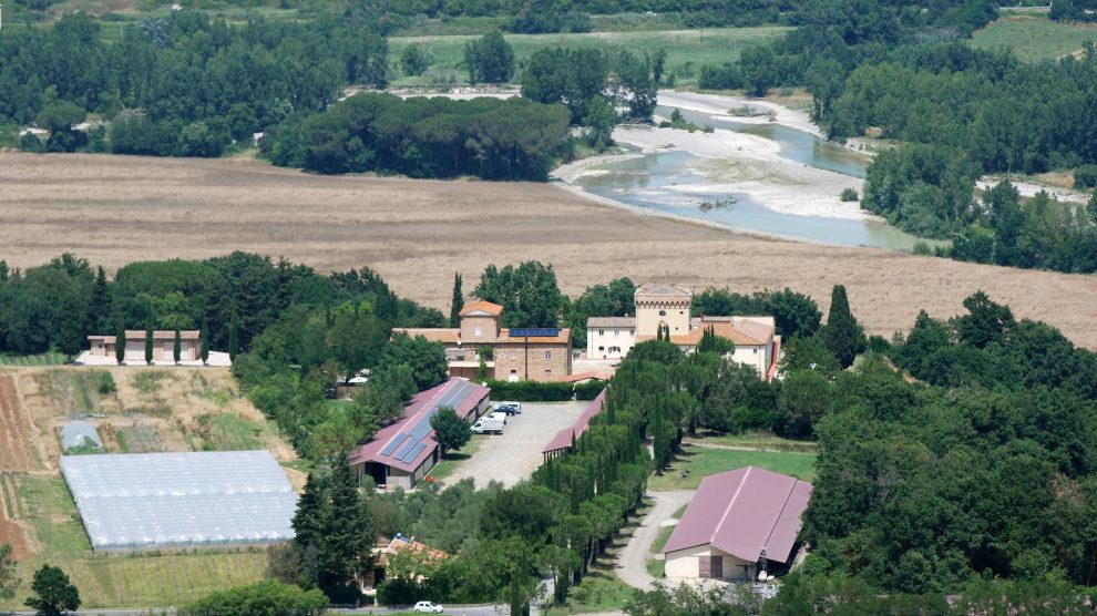 Foto da pagina Facebook azienda agricola Il Cerreto