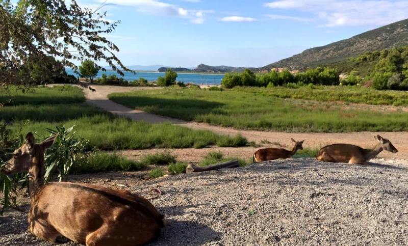 Cala di Forno_Toscana-ambiente