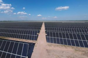 In Toscana lo 0,45 dei terreni agricoli abbandonati è utile per il fotovoltaico