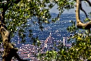 oliveta Firenze_Toscana-ambiente