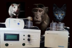 Il Ministero della Salute finanzia le Università di Pisa e Genova per la ricerca sui metodi sostitutivi alla sperimentazione animale