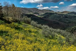 Montalbano-distretto-biologico_Toscana-ambiente