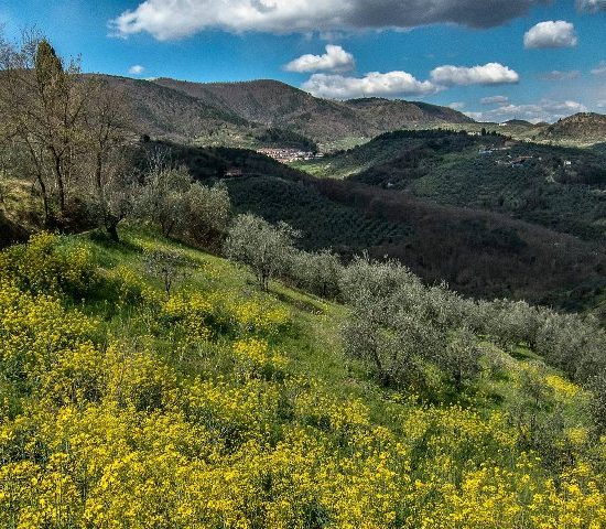 Montalbano-distretto-biologico_Toscana-ambiente