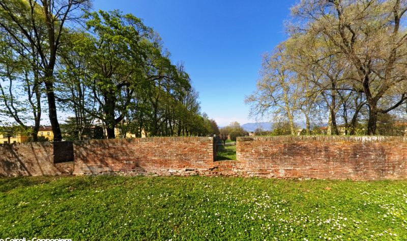 mura-Lucca-biodiversità_Toscana-ambiente