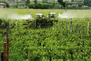 Chianti-Greve-pesticidi_Toscana-ambiente