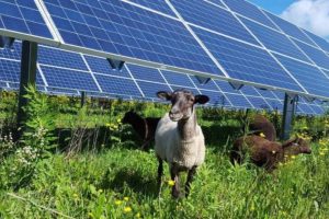 transizioni-ostacoli_Toscana-ambiente