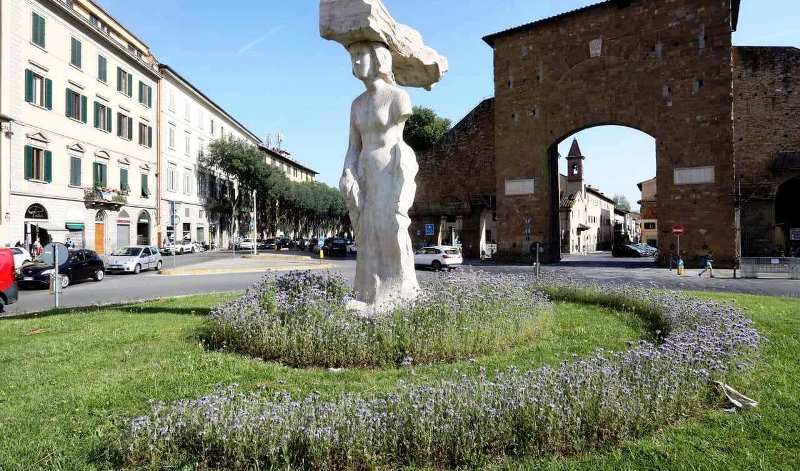 Facelia nella rotonda di Porta Romana (foto Comune di Firenze)