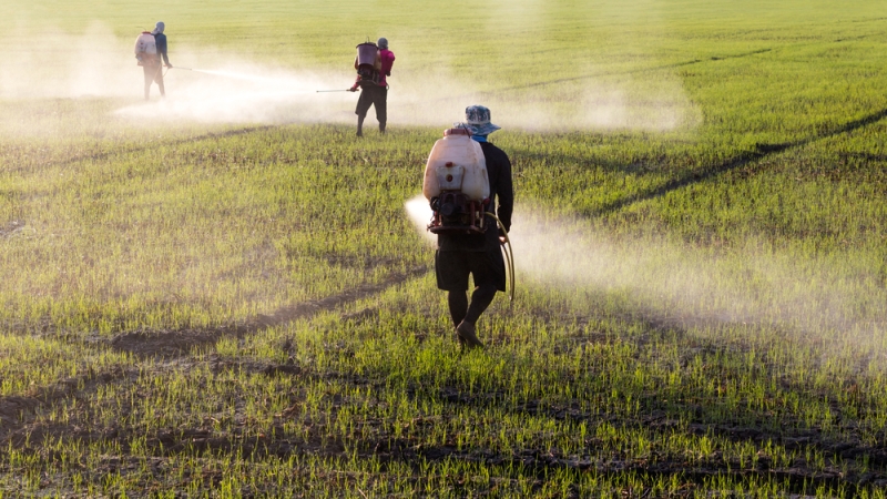 glifosato-agenzia-agricoltura_Toscana-ambiente