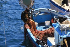 legge-Salvamare-pescatori_Toscana-ambiente
