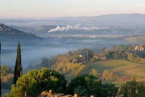 distilleria-Valdelsa_Toscana-ambiente