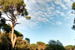 base-militare-progetto_Toscana-ambiente