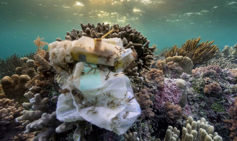 Rifiuti plastici sulla barriera corallina
