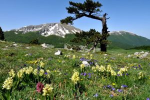 parchi_Federparchi_Toscana-ambiente