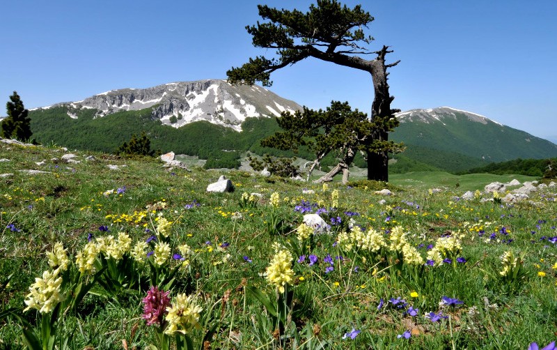 parchi_Federparchi_Toscana-ambiente