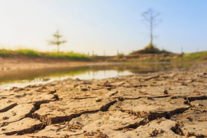 negazionismo-teorie-climatico_Toscana-ambiente