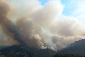 polveri-incendio-Versilia_Toscana-ambiente